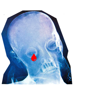 欧美性爱天天干
